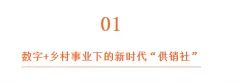 中国的城市化与数字化的农村