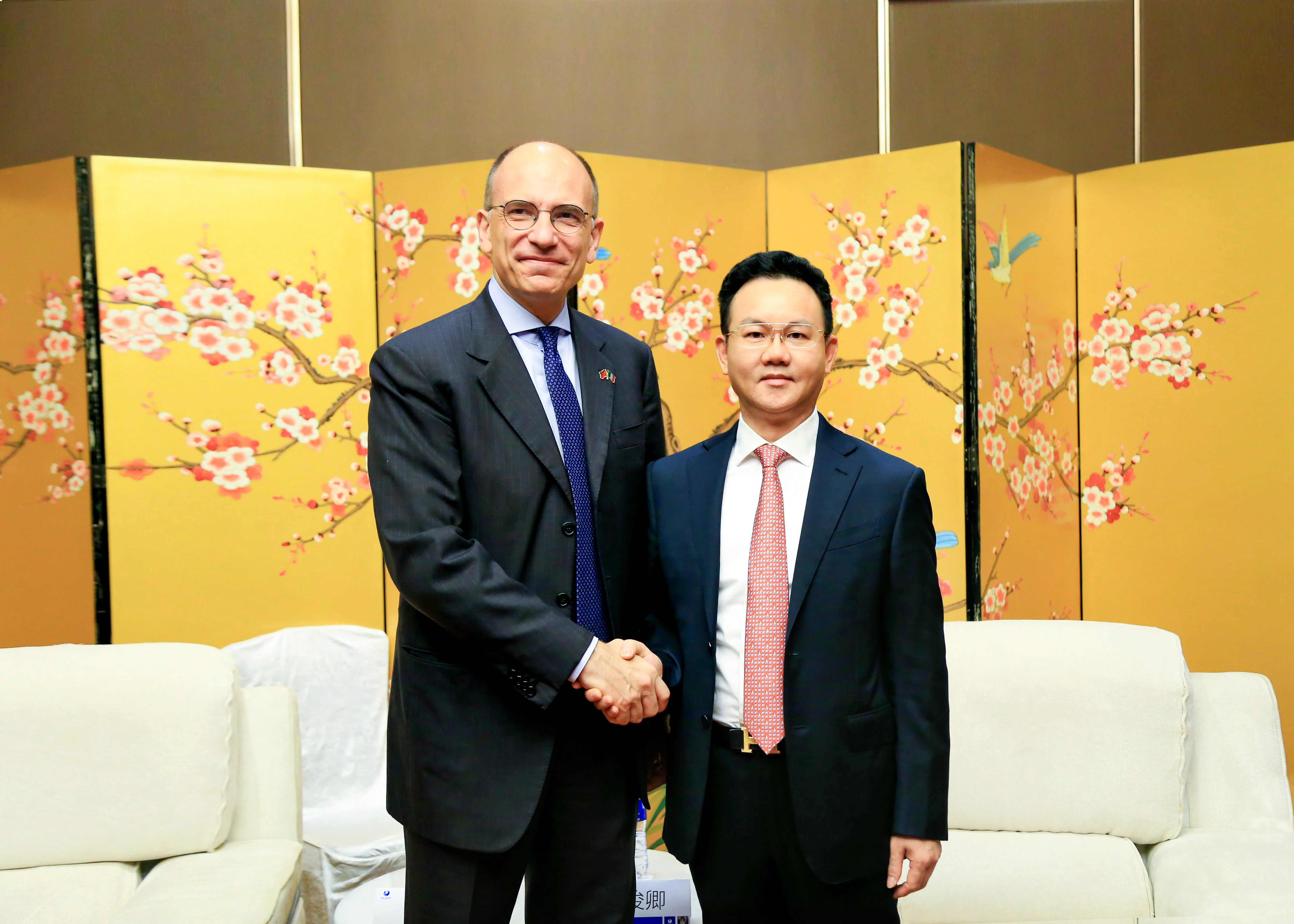 林展藩董事长应邀在北京参加杰出华商投资洽谈会